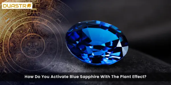 How Do You Activate Blue Sapphire With The Plant Effect?